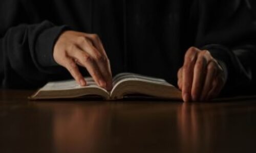 Lawyers
