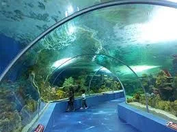 Fakieh Aquarium
