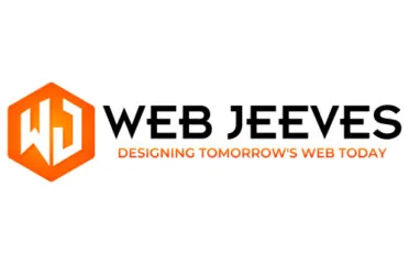 Professional Website Design Solutions