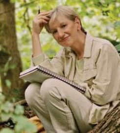 Thomas Kinkade Gallery Of Monterey