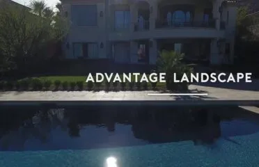 Advantage Landscape