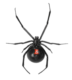 Flatliners Pest Control