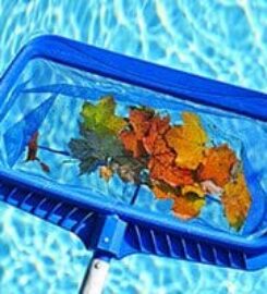 Oasis Pool Maintenance