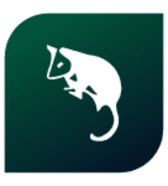 Possum Removal Adelaide