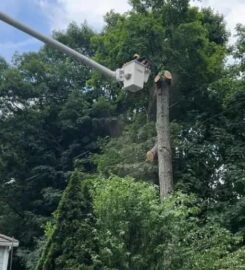 Juarez Landscaping and Tree Services