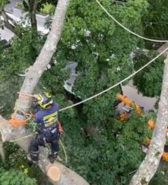 Juarez Landscaping and Tree Services