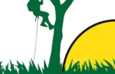Luca Tree Service
