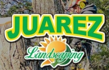 Juarez Landscaping and Tree Services