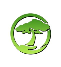 MDZ Crew Landscaping and Paving INC