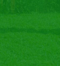 MDZ Crew Landscaping and Paving INC