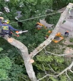 Juarez Landscaping and Tree Services