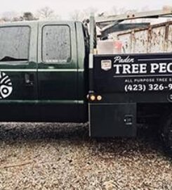 Paden Tree People