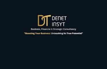 Denet Insyt Business Consultants