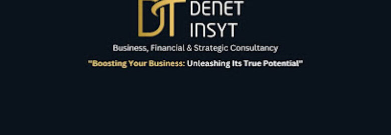 Denet Insyt Business Consultants