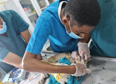 مركز أطباء العصر البيطري للرعاية الاولية