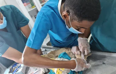 مركز أطباء العصر البيطري للرعاية الاولية
