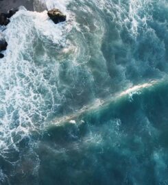 Sumayya younis coaching