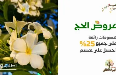 مشتل الهواء الطلق