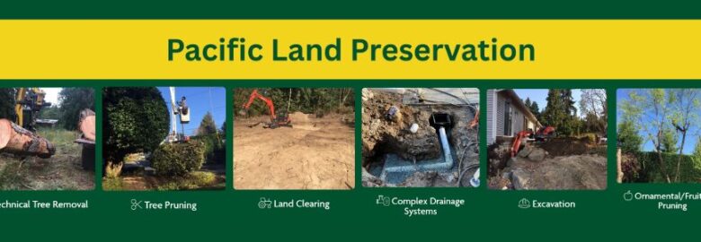 PLP Tree Service Marysville