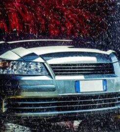 Renew Car Care, Inc.