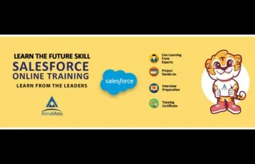 AlmaMate Info Tech – Best Salesforce Training in Noida