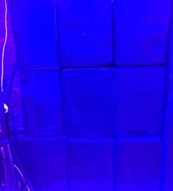 Echo of Celebration, صدى الاحتفال