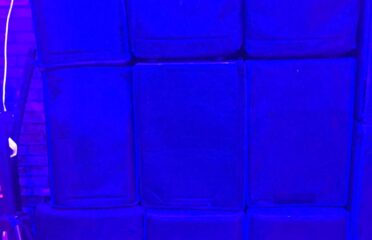 Echo of Celebration, صدى الاحتفال