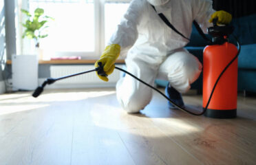 True Pest Control: Professional Pest Control Services in Australia